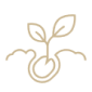 Référencement naturel